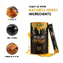 Shilajit_3.webp
