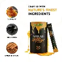Shilajit_3.webp